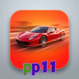 pp11